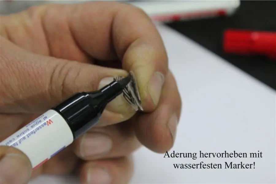 Köcherfliegen Flügel Elastic-Tungsten