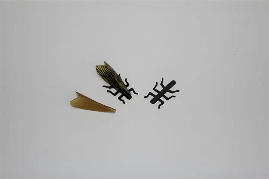 Steinfliegen Beine Elastic-Tungsten