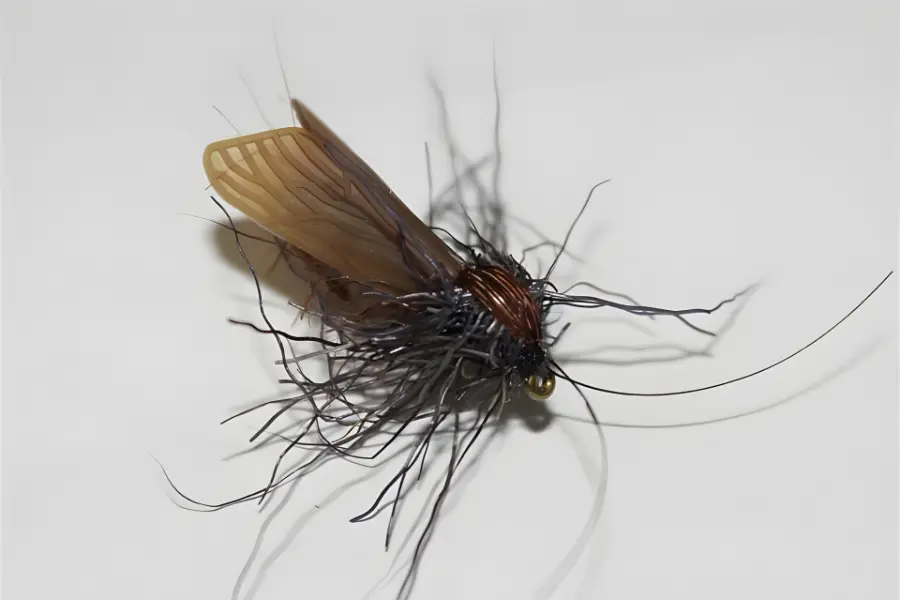 Köcherfliegen Flügel Elastic-Tungsten